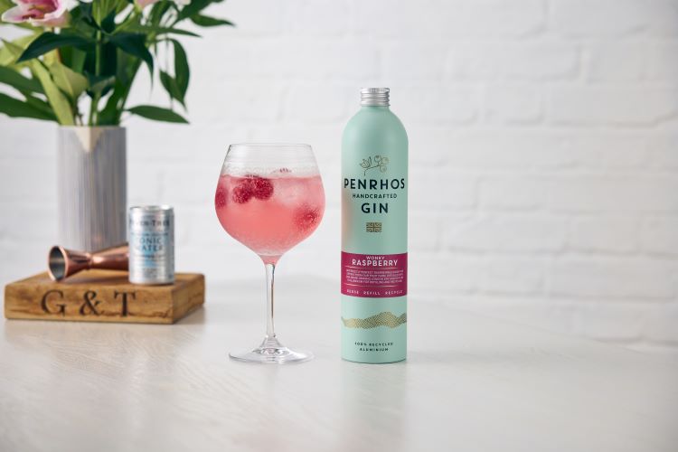 Wonky Raspberry G&T