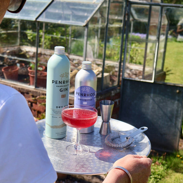 Blueberry Gin Martini