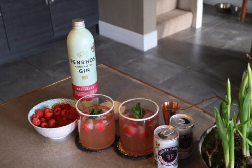 Raspberry Gin and Lemonade