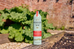 Penrhos Cloudy Rhubarb Gin