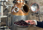 Wonky Blueberry Gin