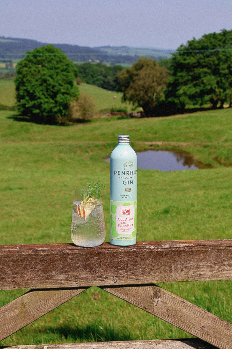 The Odd G&T