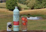 Bottle of Perrier Gin, a glass with strawberries, and a can on a gate with a scenic background.