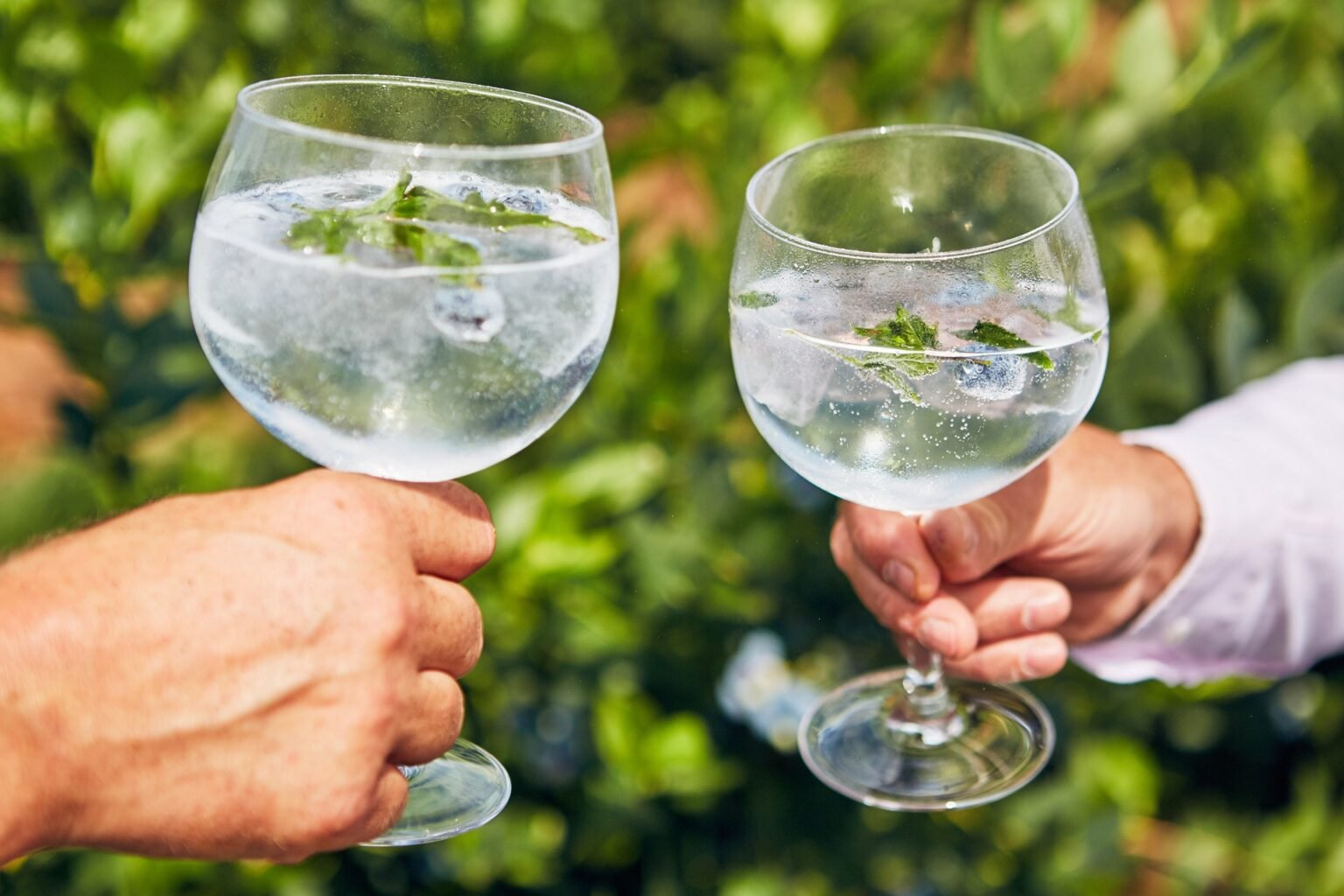 International Gin and Tonic Day - Penrhos Spirits
