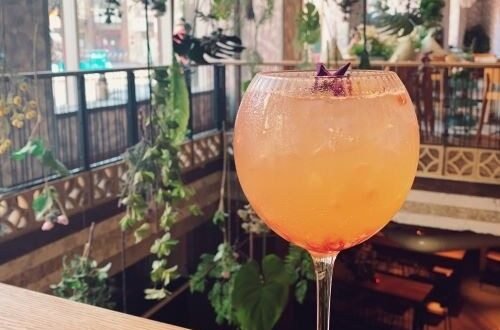 Folly Penrhos Gin and Tonic with Rhubarb Gin