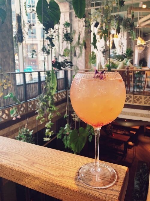 Folly Penrhos Gin and Tonic with Rhubarb Gin