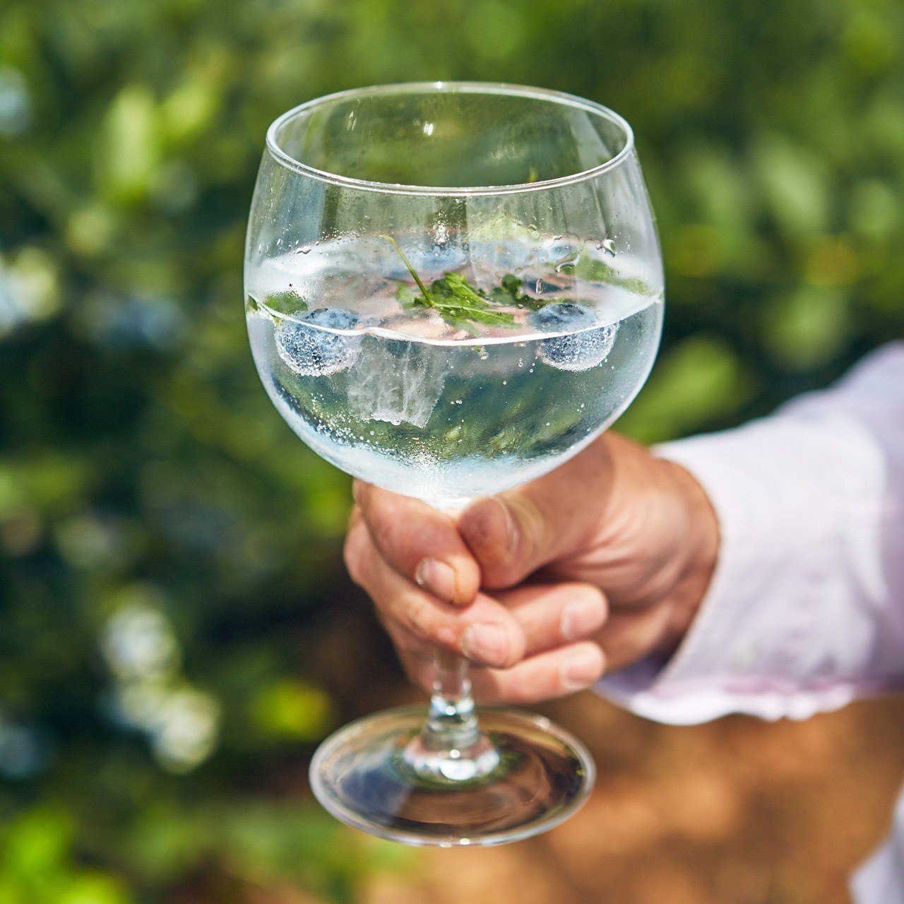 Penrhos Gin and Tonic