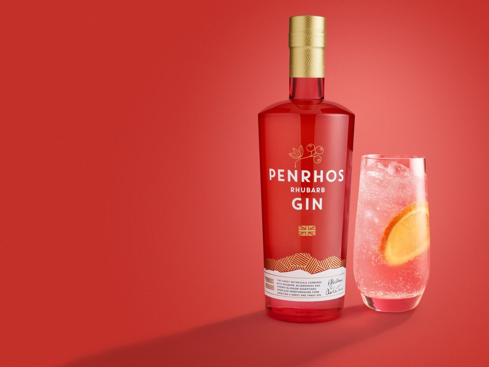 Rhubarb Gin with Glass of Gin