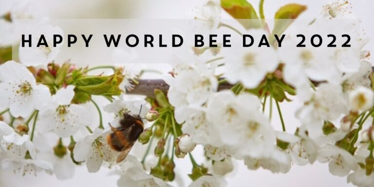 happy world bee day 2022