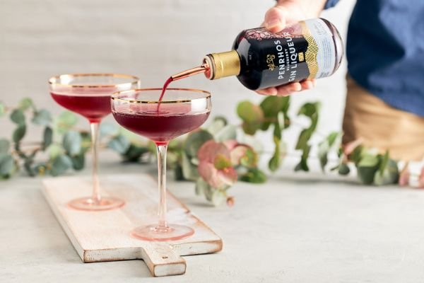 A Christmas Blueberry Gin Fizz