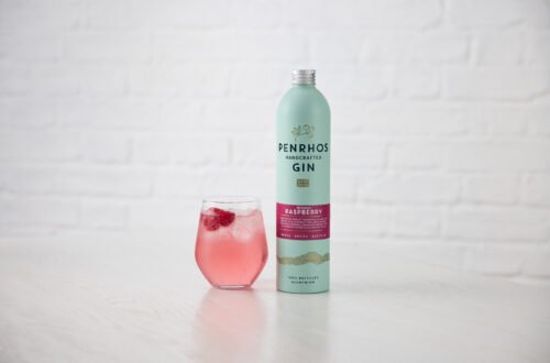 Penrhos Wonky Raspberry Gin and Tonic