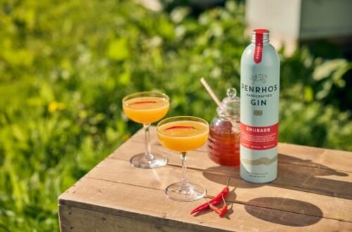 2 Chilli Bee's Knees with a chilli garnish in the sun