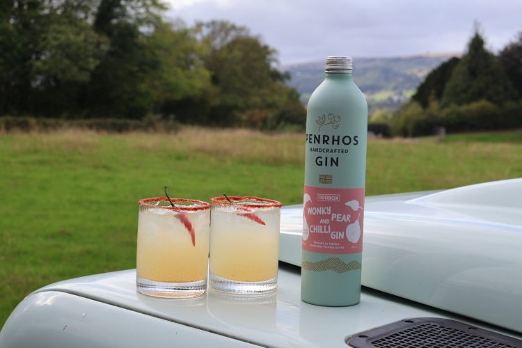 Wonky Pear and Chilli Gin