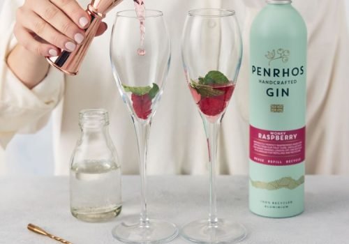 Raspberry Gin Fizz recipe step 2