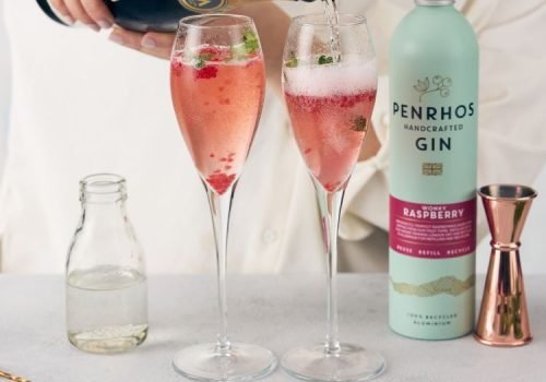 Raspberry Fizz Raspberry Gin Fizz Recipe Step 5