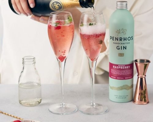 Raspberry Fizz Raspberry Gin Fizz Recipe Step 5