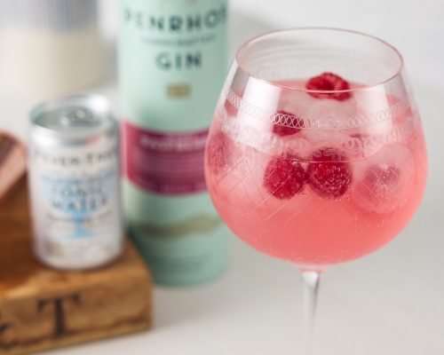 Pink G&T Pink Gin and Tonic with Raspberry Gin, Indian Tonic and Raspberries