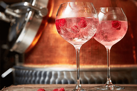 Raspberry G&T Raspberry G&T