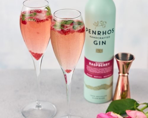 Raspberry Gin Fizz with prosecco, raspberries and mint