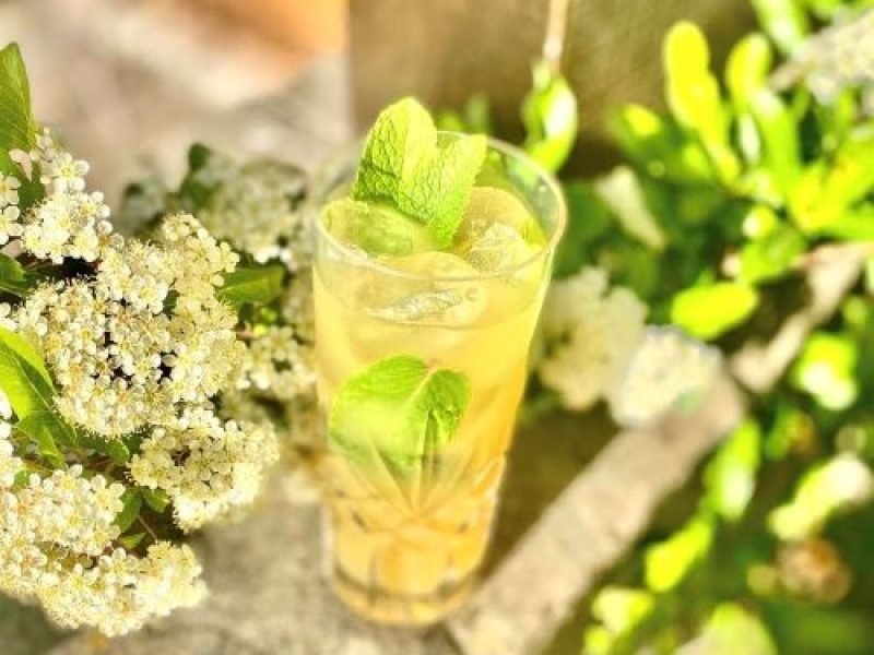 Rhubarb and Ginger Gin